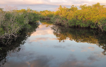 Florida Coastal Everglades
